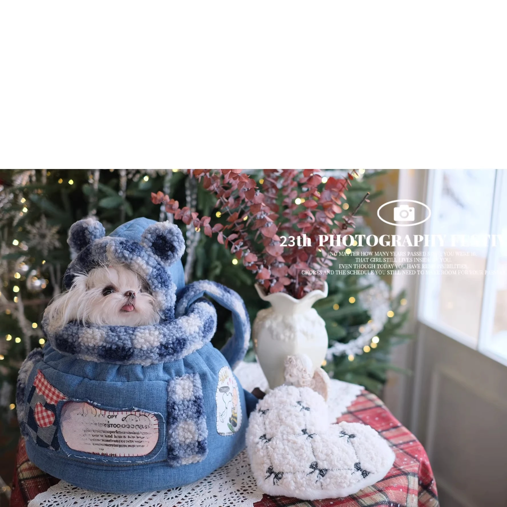 Luxury Bags Edit - 26 Lüks Kışlık Evcil Hayvan Taşıma